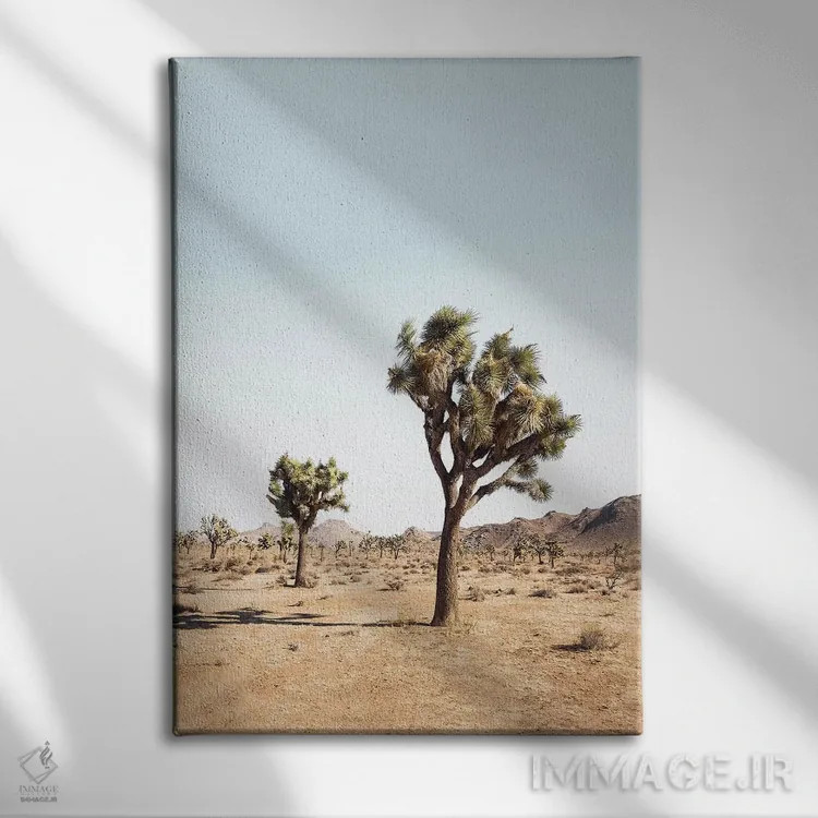 تابلو دکوراتیو درخت بیابانی اثر سیسی و سب - نمای روبهرو روی دیوار