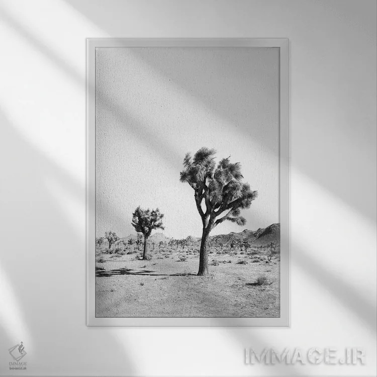 تابلو دکوراتیو درخت بیابانی سیاه و سفید اثر سیسی و سب - نمای قابدار سفید