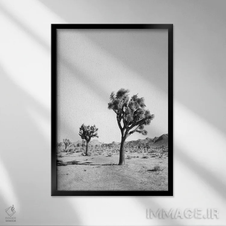 تابلو دکوراتیو درخت بیابانی سیاه و سفید اثر سیسی و سب - نمای قابدار مشکی
