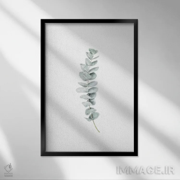 تابلو مینیمال اکالیپتوس یک اثر سیسی و سب - نمای قابدار مشکی