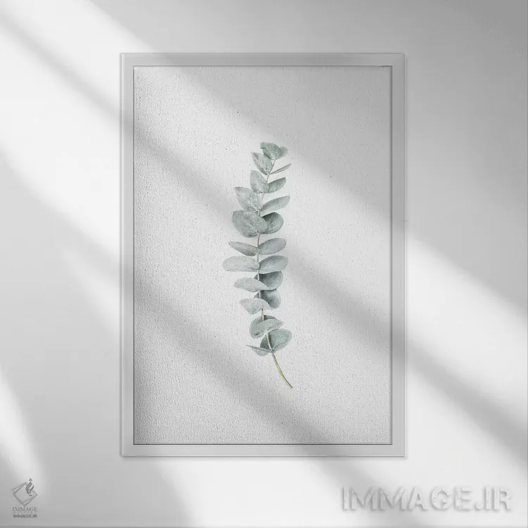 تابلو مینیمال اکالیپتوس یک اثر سیسی و سب - نمای قابدار سفید