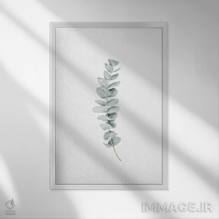 تابلو مینیمال اکالیپتوس یک اثر سیسی و سب - نمای قابدار سفید