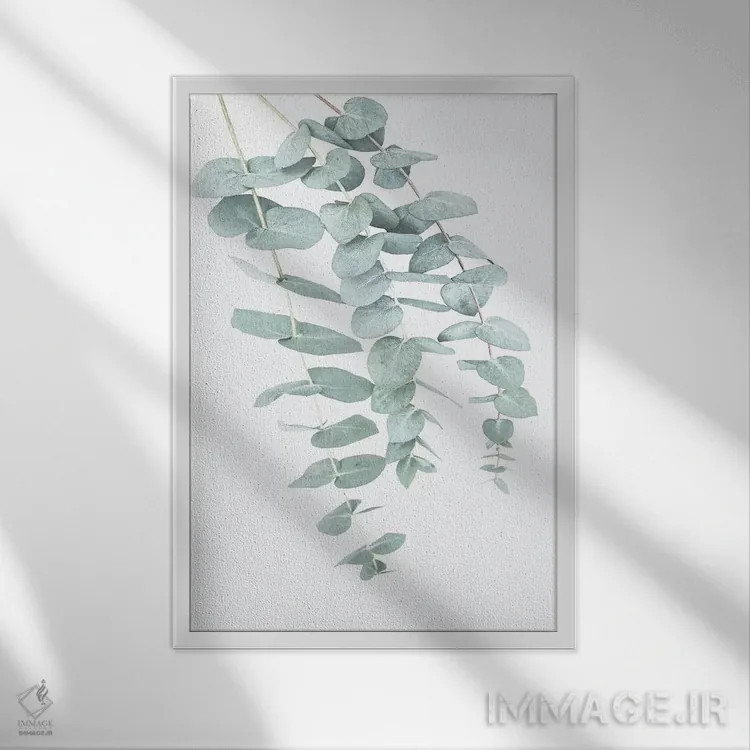 تابلو مینیمال اکالیپتوس دو اثر سیسی و سب - نمای قابدار سفید