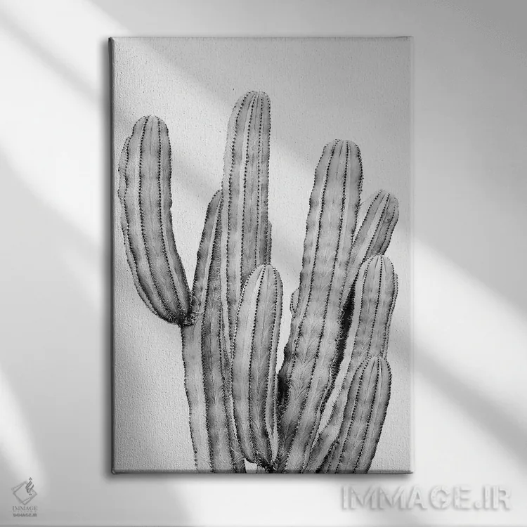 تابلو دکوراتیو کاکتوس خاکستری اثر سیسی و سب - نمای روبهرو روی دیوار