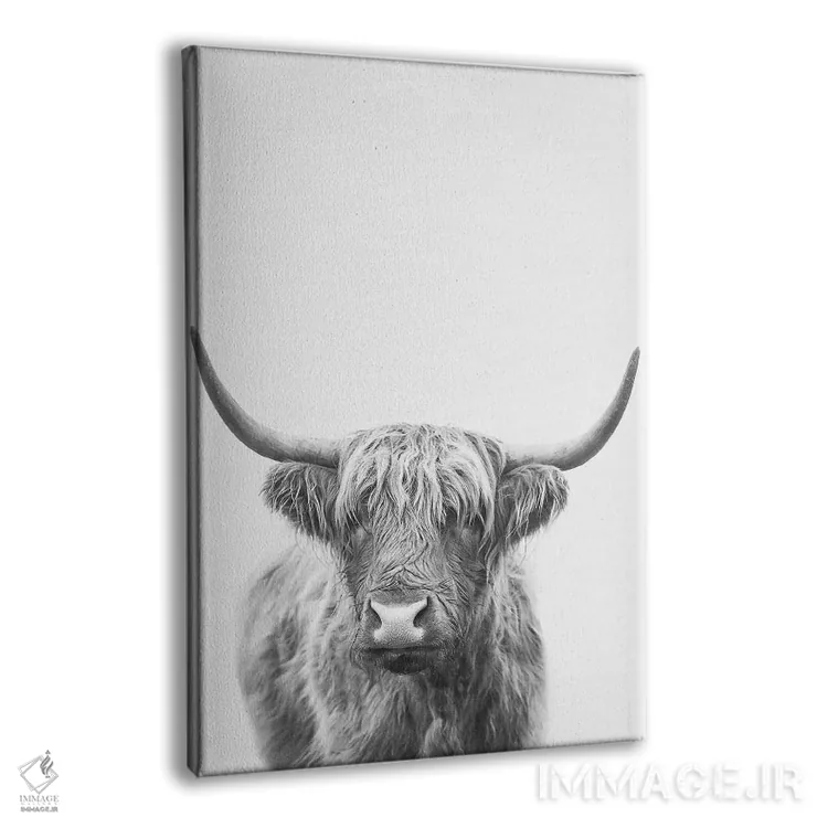 تابلو مدرن گاو نر کوهستانی دو اثر سیسی و سب - نمای پرسپکتیو محصول