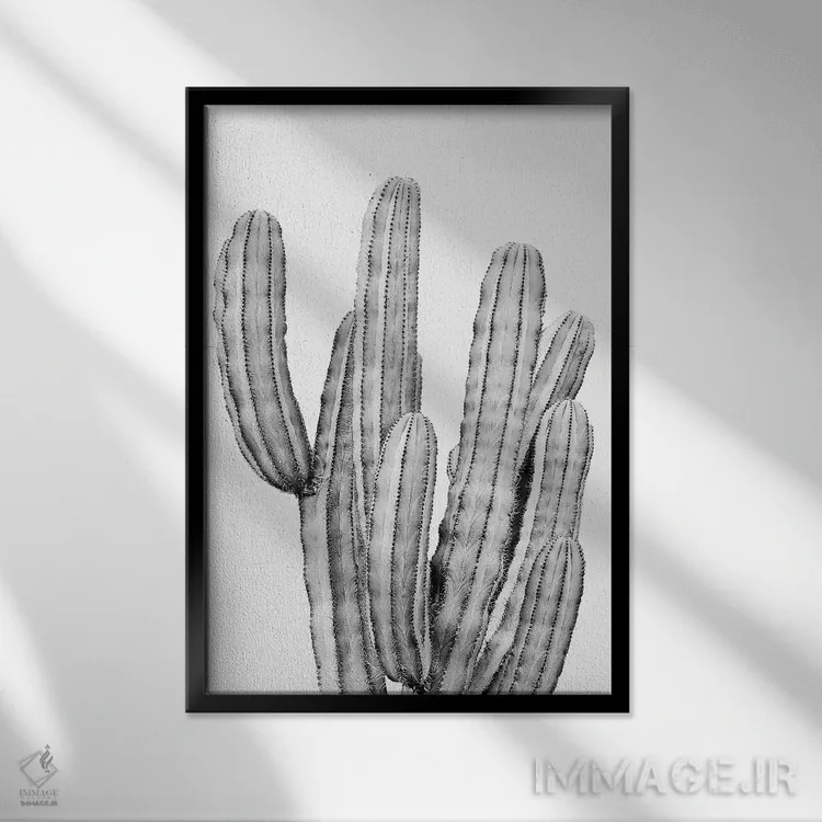 تابلو دکوراتیو کاکتوس خاکستری اثر سیسی و سب - نمای قابدار مشکی