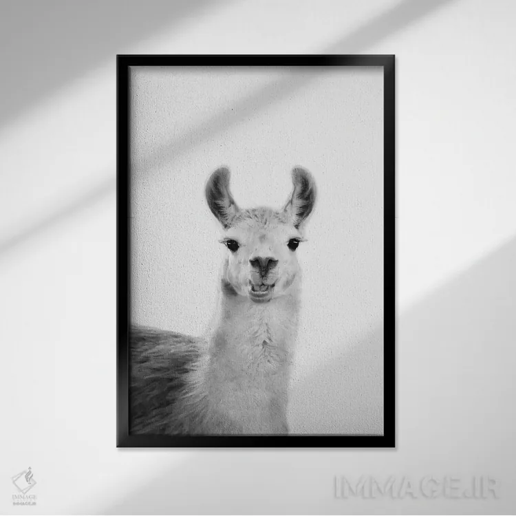 تابلو دکوراتیو لامای شاد اثر سیسی و سب - نمای قابدار مشکی