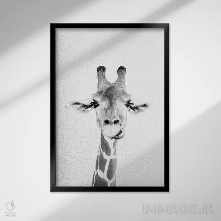 تابلو دکوراتیو زرافه شاد اثر سیسی و سب - نمای قابدار مشکی