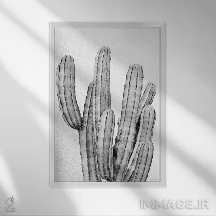 تابلو دکوراتیو کاکتوس خاکستری اثر سیسی و سب - نمای قابدار سفید