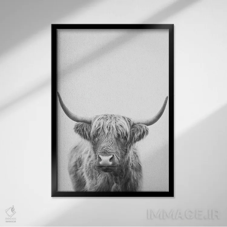 تابلو مدرن گاو نر کوهستانی دو اثر سیسی و سب - نمای قابدار مشکی