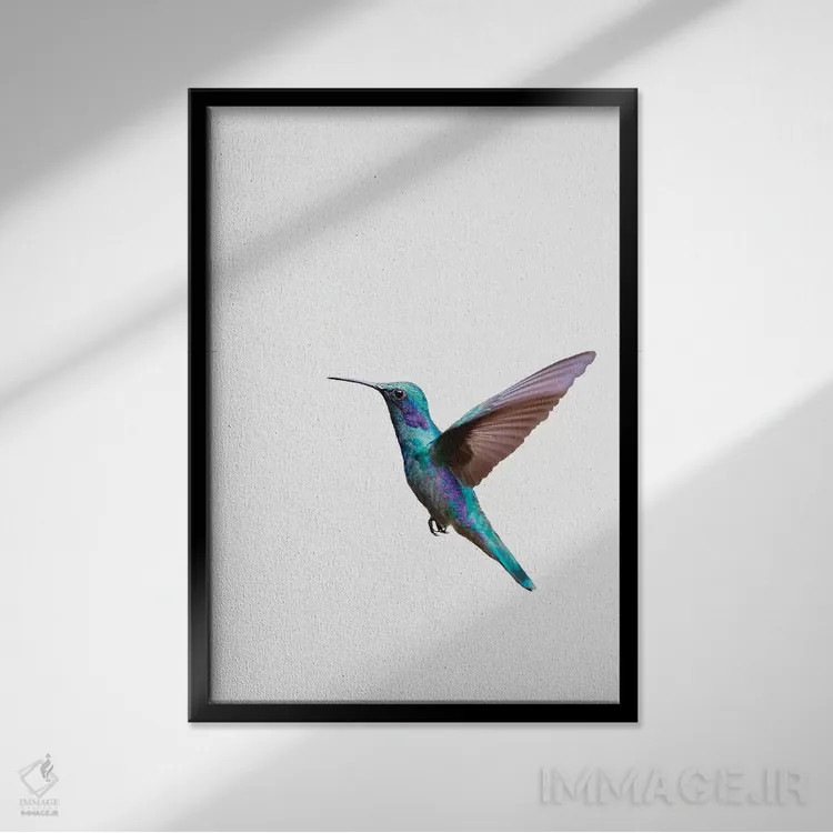 تابلو مینیمال مرغ مگس خوار اثر سیسی و سب - نمای قابدار مشکی
