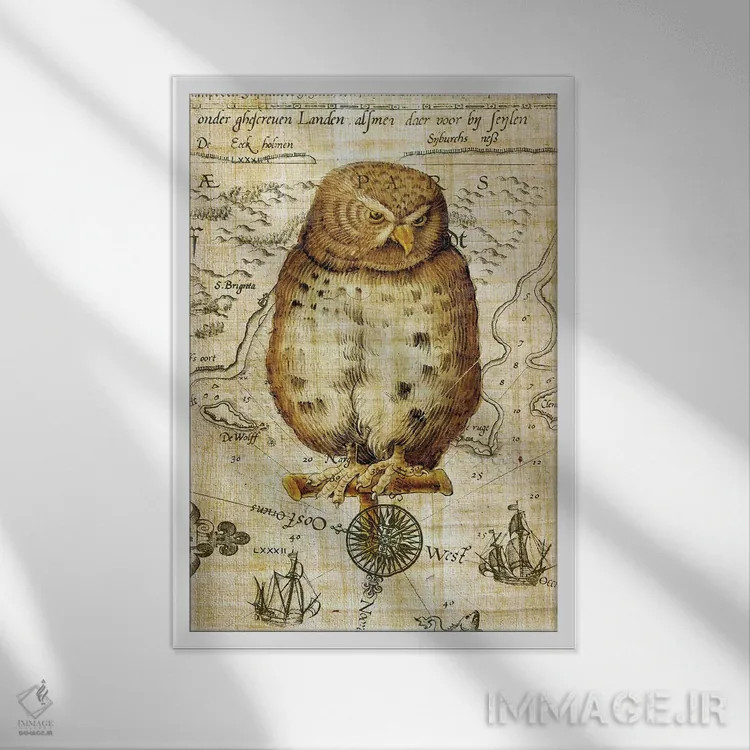 تابلو دکوراتیو جغد قدیمی روی پاپیروس دریایی اثر استودیو سون سیرنز - نمای قابدار سفید