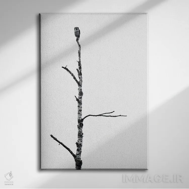 تابلو دکوراتیو جغد اثر استفان هفل - نمای روبهرو روی دیوار