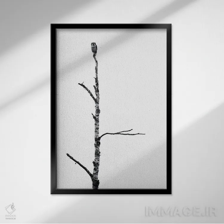 تابلو دکوراتیو جغد اثر استفان هفل - نمای قابدار مشکی
