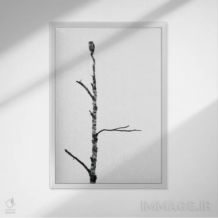 تابلو دکوراتیو جغد اثر استفان هفل - نمای قابدار سفید