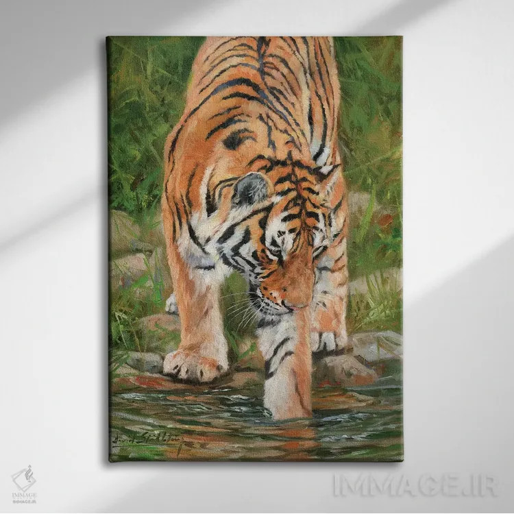 تابلو دکوراتیو جریان ببر اثر دیوید استریبلینگ - نمای روبهرو روی دیوار