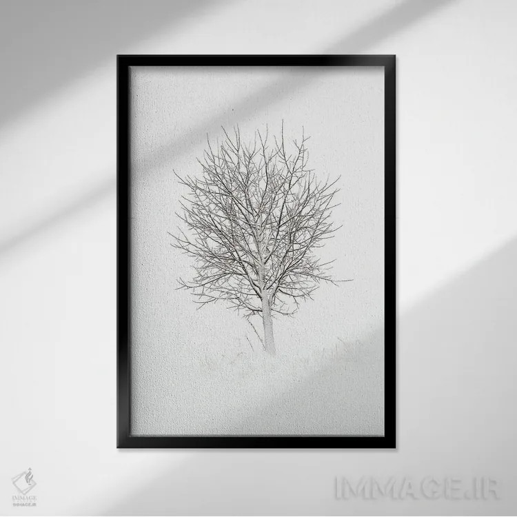 تابلو دکوراتیو سادگی اثر آندریاس استریدسبرگ - نمای قابدار مشکی