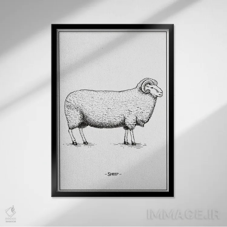 تابلو دکوراتیو گوسفند اثر جی استنلی - نمای قابدار مشکی