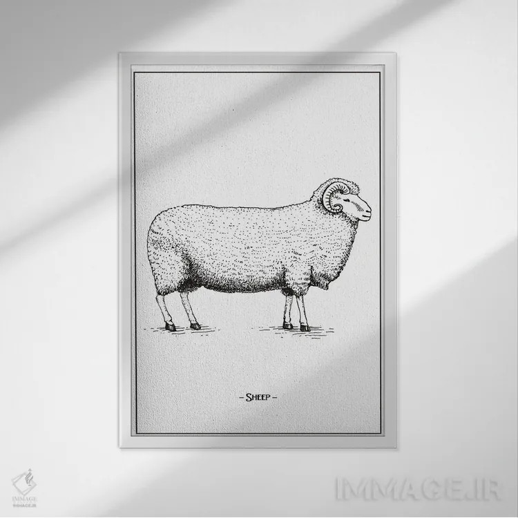 تابلو دکوراتیو گوسفند اثر جی استنلی - نمای قابدار سفید