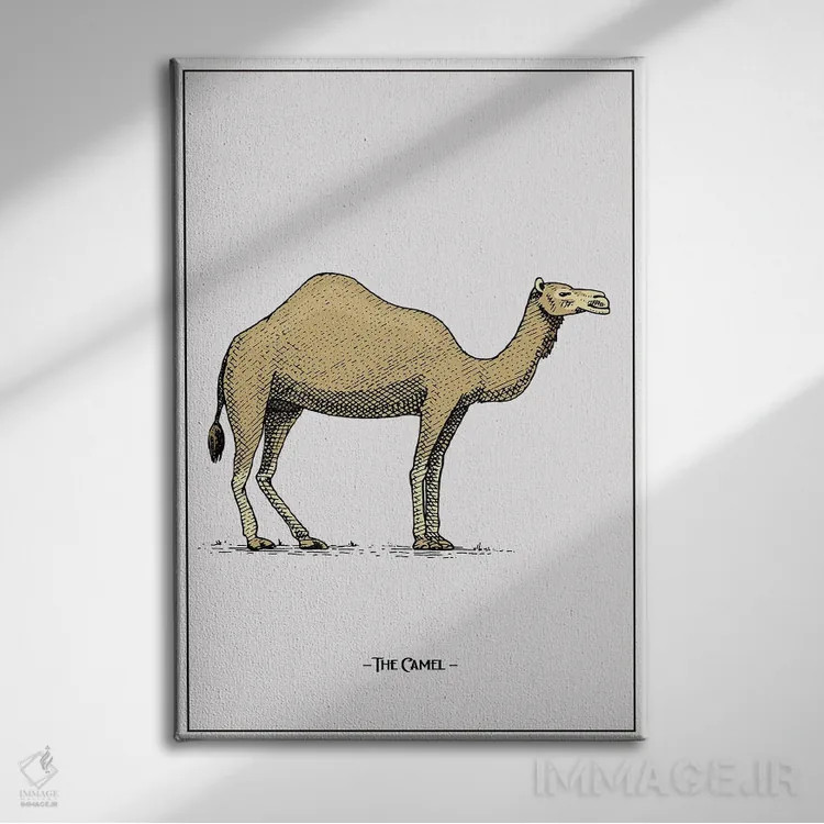 تابلو دکوراتیو شتر اثر جی استنلی - نمای روبهرو روی دیوار