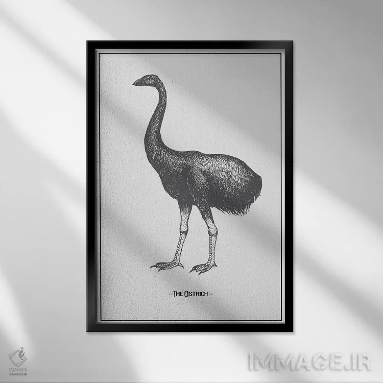 تابلو دکوراتیو شترمرغ اثر جی استنلی - نمای قابدار مشکی