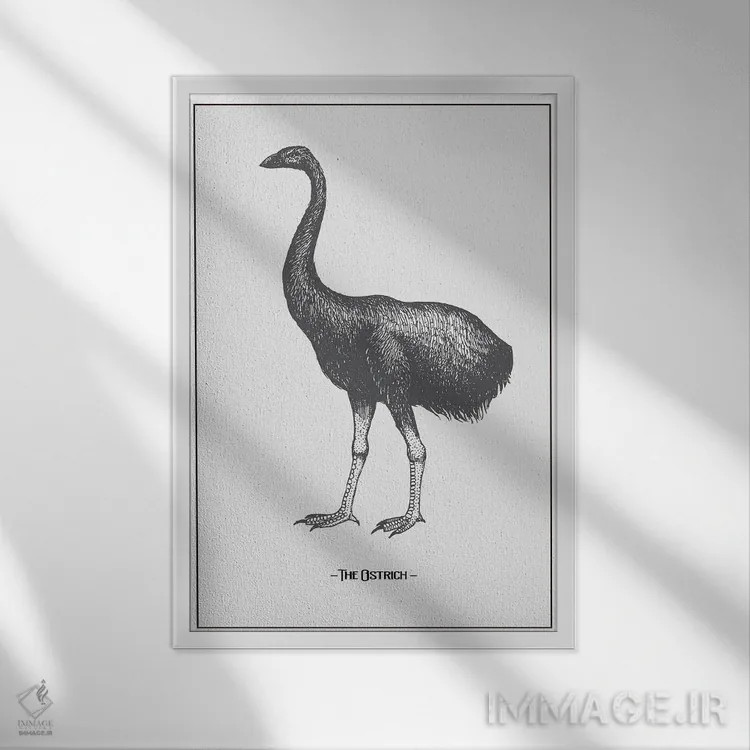 تابلو دکوراتیو شترمرغ اثر جی استنلی - نمای قابدار سفید
