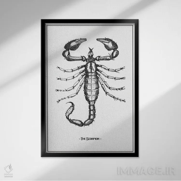 تابلو دکوراتیو عقرب اثر جی استنلی - نمای قابدار مشکی