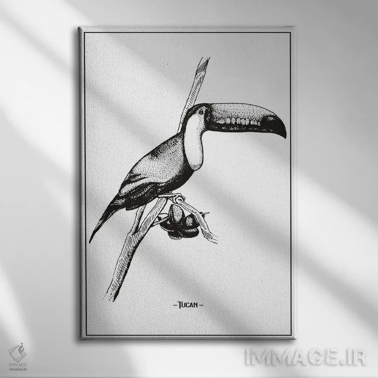 تابلو دکوراتیو توکان اثر جی استنلی - نمای روبهرو روی دیوار