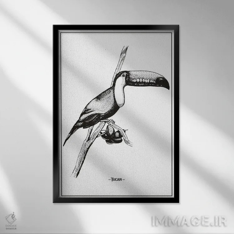 تابلو دکوراتیو توکان اثر جی استنلی - نمای قابدار مشکی