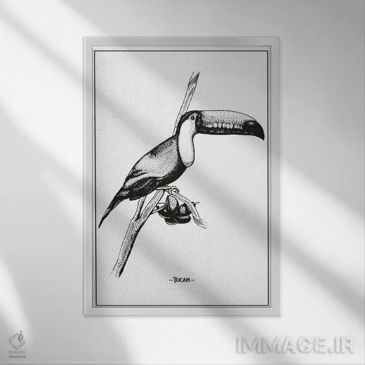 تابلو دکوراتیو توکان اثر جی استنلی - نمای قابدار سفید
