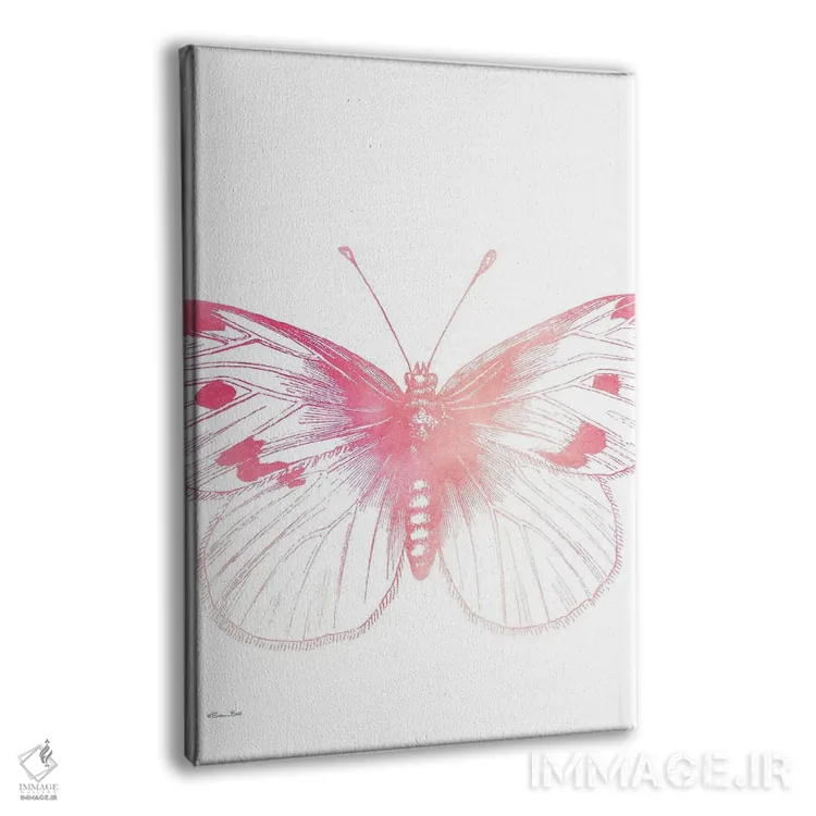 تابلو مینیمال پروانه صورتی III اثر سوزان بال - نمای پرسپکتیو محصول