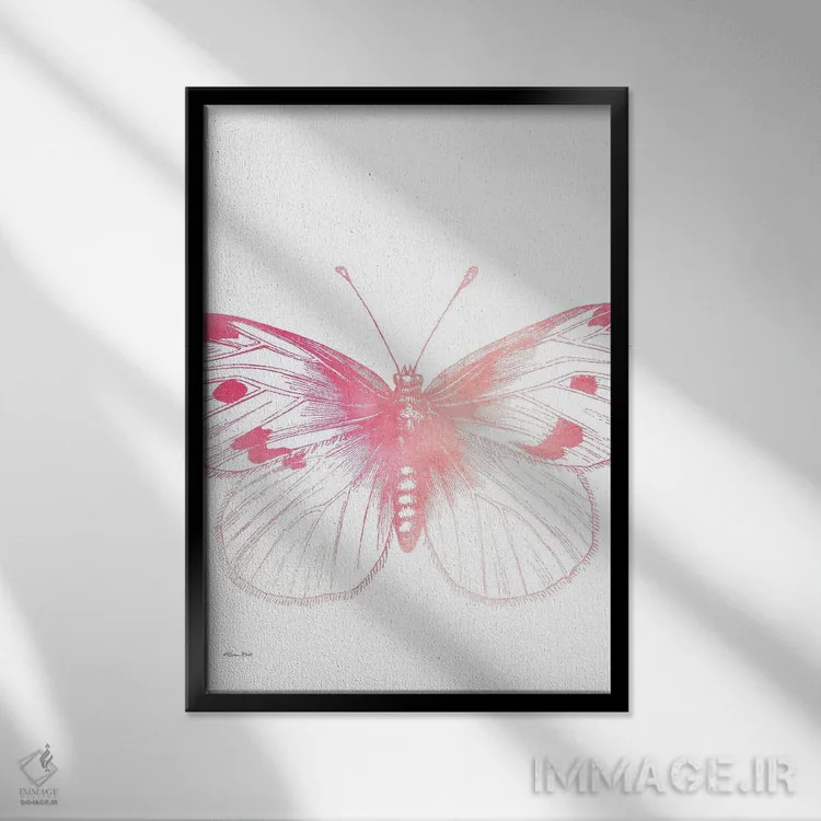 تابلو مینیمال پروانه صورتی III اثر سوزان بال - نمای قابدار مشکی