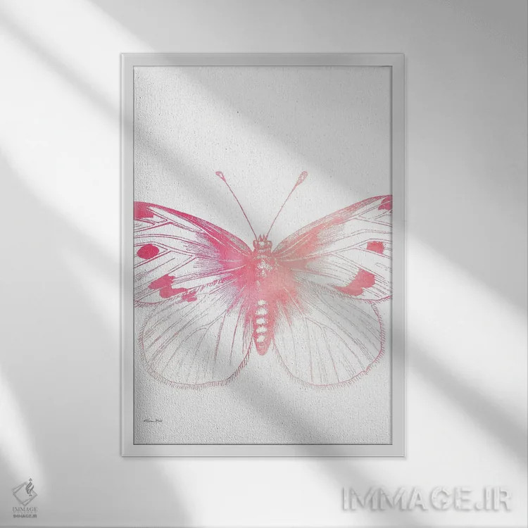 تابلو مینیمال پروانه صورتی III اثر سوزان بال - نمای قابدار سفید