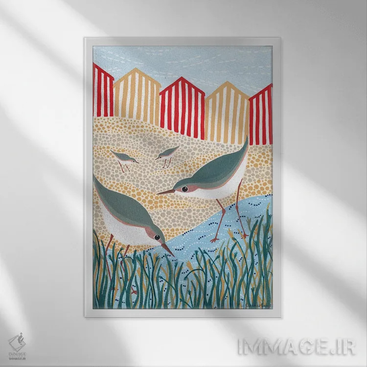 تابلو دکوراتیو پرندگان ساحلی اثر سیان سامرحیز - نمای قابدار سفید