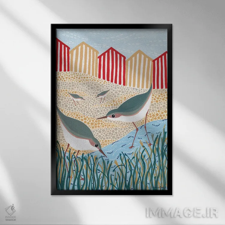 تابلو دکوراتیو پرندگان ساحلی اثر سیان سامرحیز - نمای قابدار مشکی