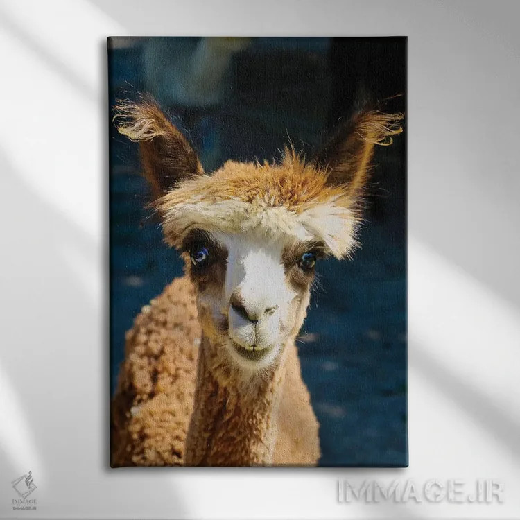 تابلو دکوراتیو آلپاکای قهوه ای شاد اثر سوزان ویزواری - نمای روبهرو روی دیوار