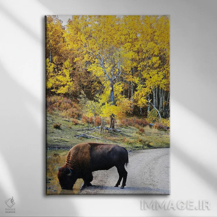 تابلو دکوراتیو بوفالوی تشنه اثر سوزان ویزواری - نمای روبهرو روی دیوار