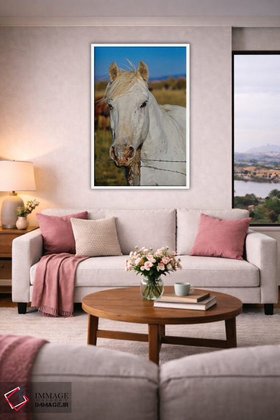 تابلو دکوراتیو زیبای سفید I اثر سوزان ویزواری - D3W