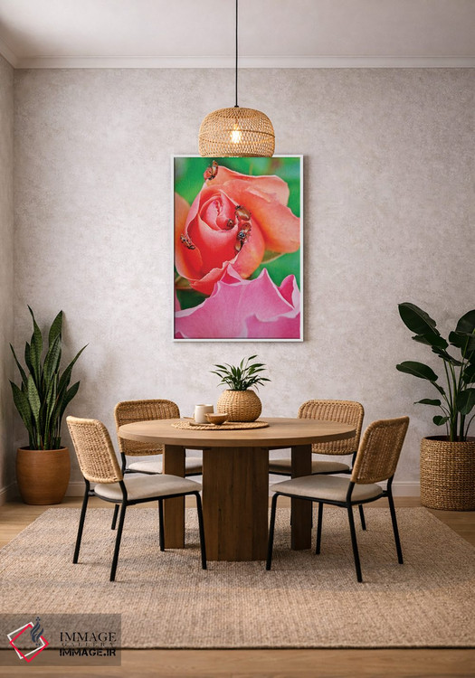 تابلو دکوراتیو کفشدوزک ها روی گل رز IV اثر سوزان ویزواری - D2W