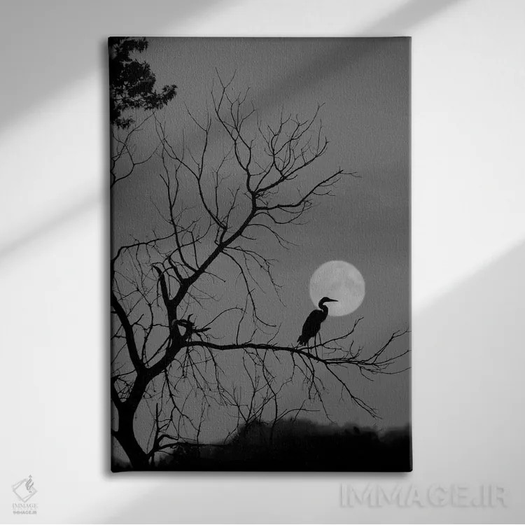 تابلو دکوراتیو گاهی به ندرت اثر استیو تول - نمای روبهرو روی دیوار