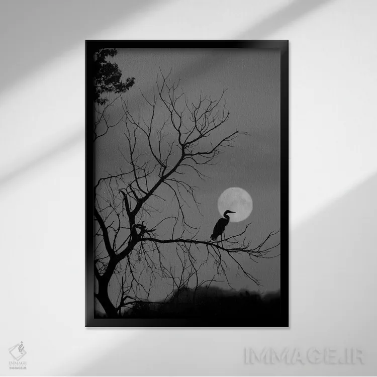 تابلو دکوراتیو گاهی به ندرت اثر استیو تول - نمای قابدار مشکی