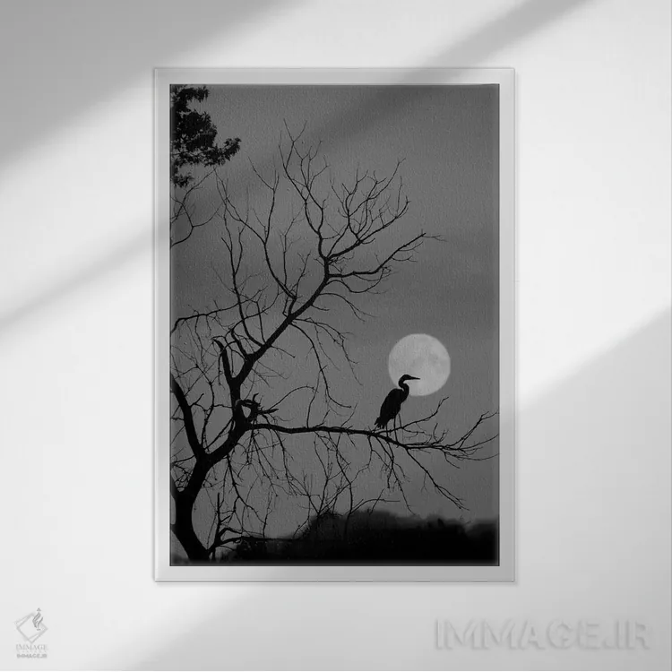 تابلو دکوراتیو گاهی به ندرت اثر استیو تول - نمای قابدار سفید