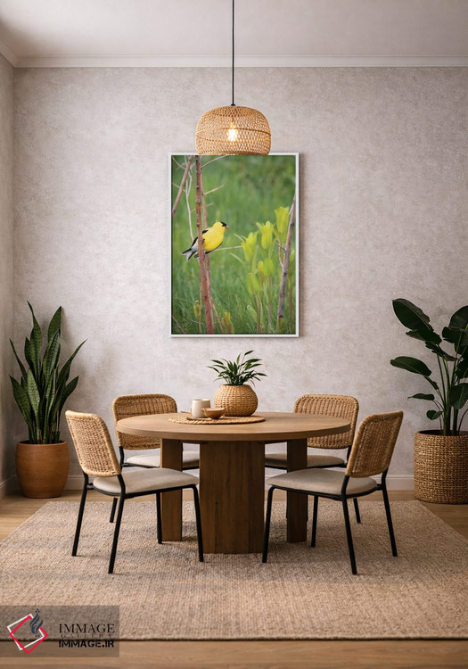 تابلو دکوراتیو فنچ طلایی آمریکایی اثر استیو تول - D2W
