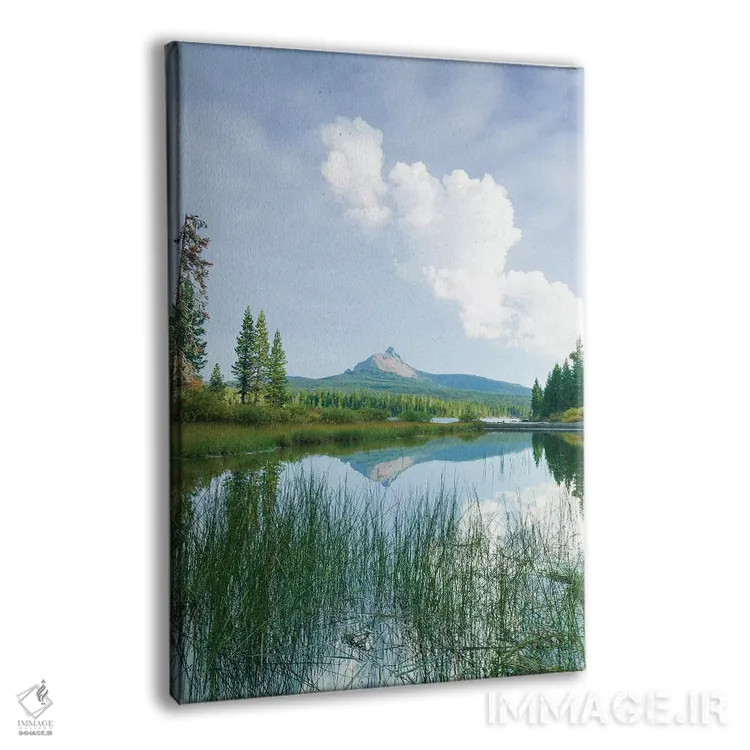 تابلو دکوراتیو Willamette National Forest, Mt. Washington, Central… اثر استوارت وست مورلند - نمای پرسپکتیو محصول