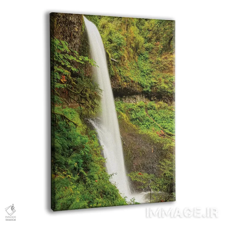 تابلو دکوراتیو Silver Falls State Park, near Silverton, Oregon,مسیر… اثر استوارت وست مورلند - نمای پرسپکتیو محصول