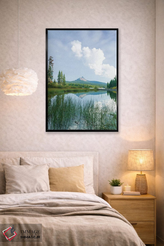 تابلو دکوراتیو Willamette National Forest, Mt. Washington, Central… اثر استوارت وست مورلند - D1B