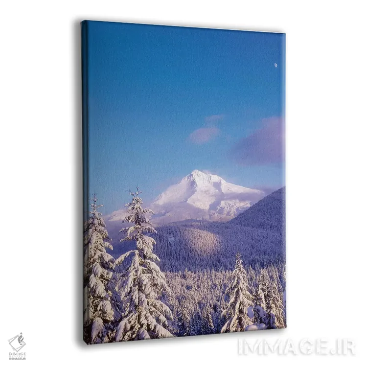تابلو دکوراتیو Mt. Hood , Mt. Hood National Forest, Oregon,درختان پ… اثر استوارت وست مورلند - نمای پرسپکتیو محصول
