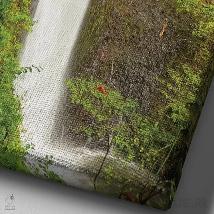 تابلو دکوراتیو Silver Falls State Park, near Silverton, Oregon,مسیر… اثر استوارت وست مورلند - نمای نزدیک بافت بوم