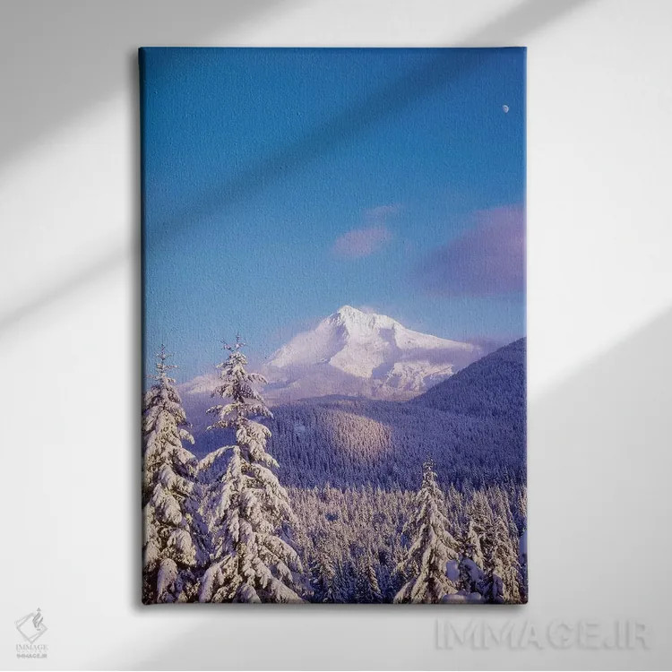 تابلو دکوراتیو Mt. Hood , Mt. Hood National Forest, Oregon,درختان پ… اثر استوارت وست مورلند - نمای روبهرو روی دیوار