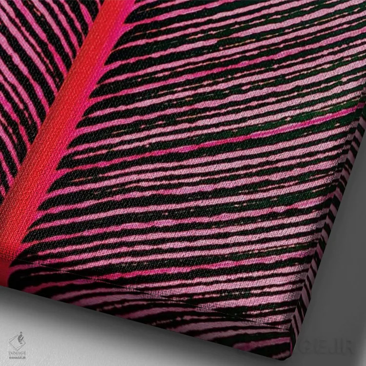 تابلو دکوراتیو Heliconia iconia, HTBG, Hawaii,هلیکونیا راه راه صورت… اثر استوارت وست مورلند - نمای نزدیک بافت بوم